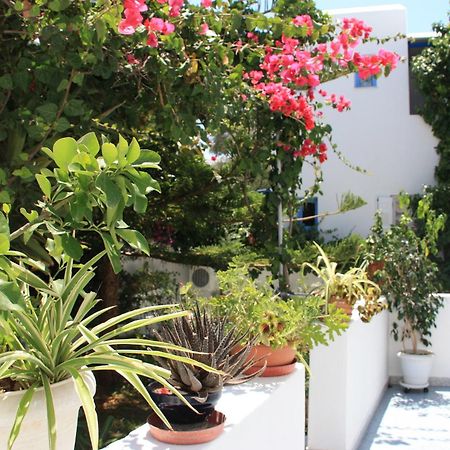 Loukia Apartments & Studios Naoussa Esterno foto