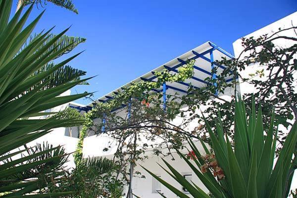 Loukia Apartments & Studios Naoussa Esterno foto