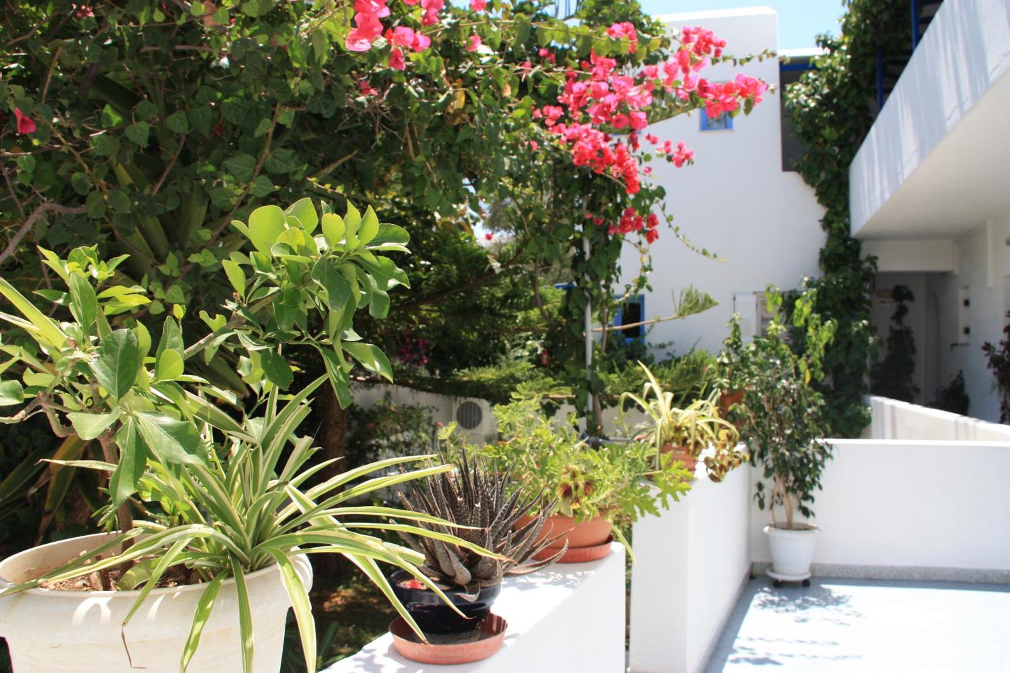 Loukia Apartments & Studios Naoussa Esterno foto