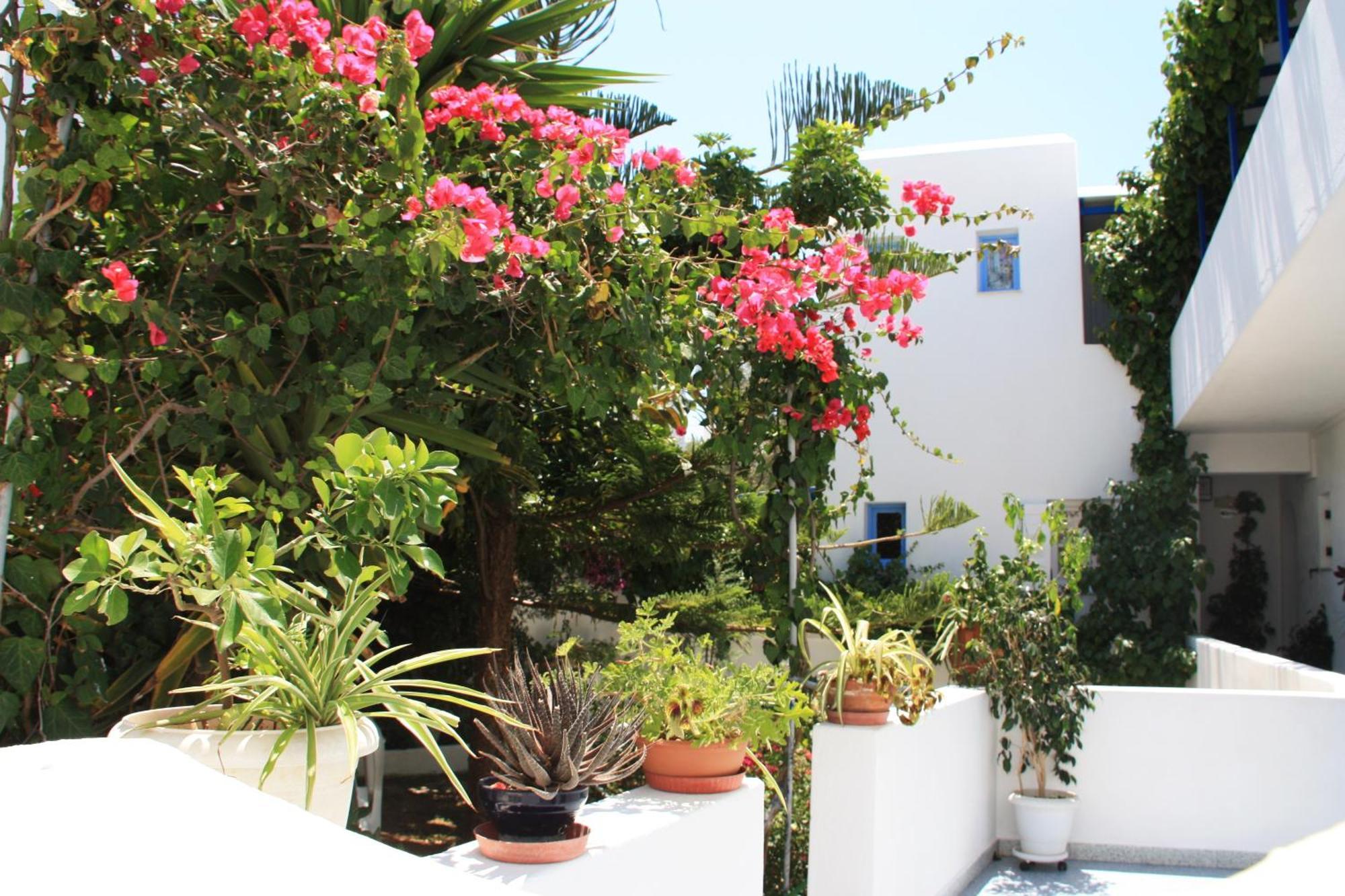 Loukia Apartments & Studios Naoussa Esterno foto